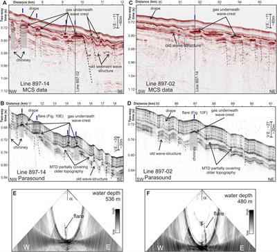 Controls on Gas Emission Distribution on the Continental Slope of the Western Black Sea